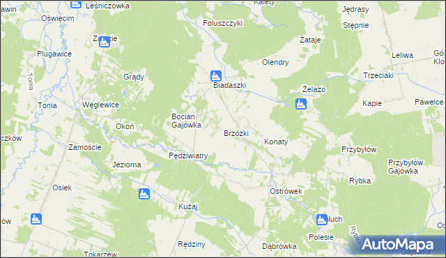 mapa Brzózki gmina Galewice, Brzózki gmina Galewice na mapie Targeo