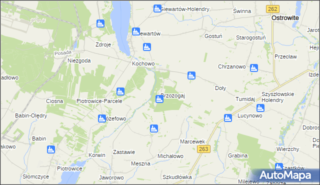 mapa Brzozogaj gmina Ostrowite, Brzozogaj gmina Ostrowite na mapie Targeo