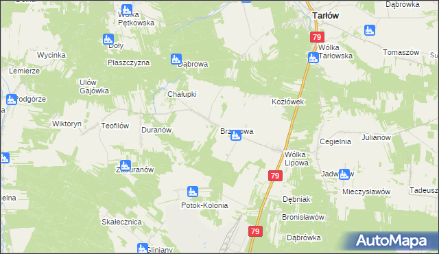 mapa Brzozowa gmina Tarłów, Brzozowa gmina Tarłów na mapie Targeo