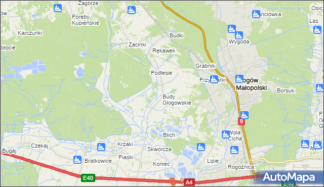 mapa Budy Głogowskie, Budy Głogowskie na mapie Targeo