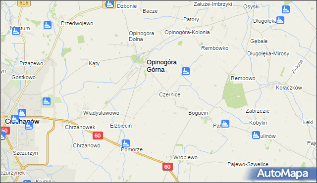 mapa Czernice gmina Opinogóra Górna, Czernice gmina Opinogóra Górna na mapie Targeo