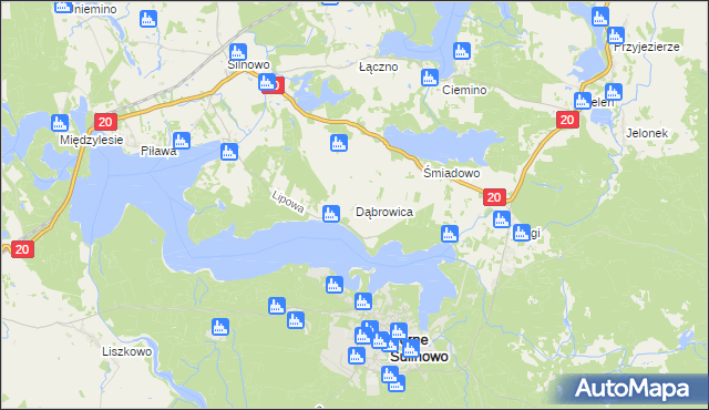 mapa Dąbrowica gmina Borne Sulinowo, Dąbrowica gmina Borne Sulinowo na mapie Targeo