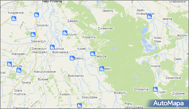 mapa Dębicze, Dębicze na mapie Targeo