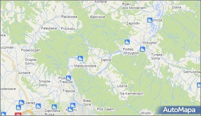 mapa Dębna gmina Sanok, Dębna gmina Sanok na mapie Targeo
