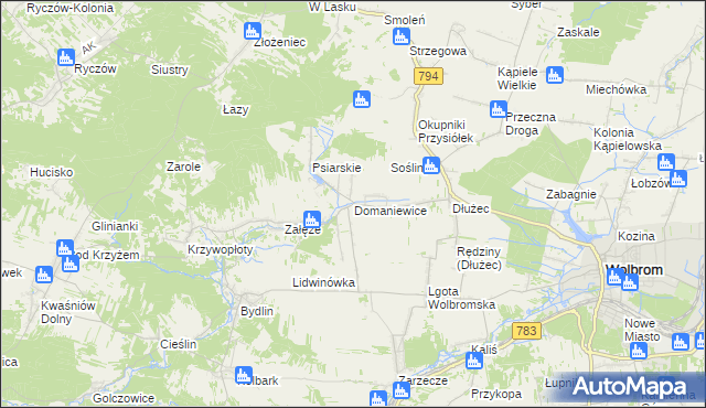mapa Domaniewice gmina Wolbrom, Domaniewice gmina Wolbrom na mapie Targeo