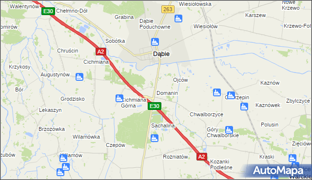 mapa Domanin gmina Dąbie, Domanin gmina Dąbie na mapie Targeo