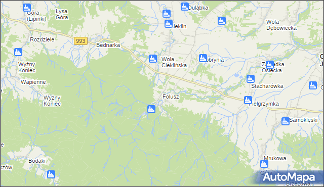 mapa Folusz gmina Dębowiec, Folusz gmina Dębowiec na mapie Targeo