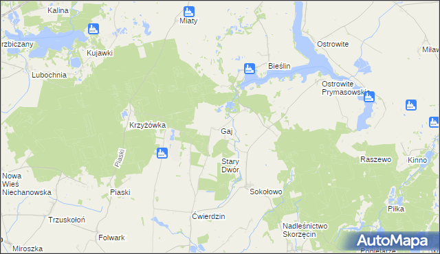 mapa Gaj gmina Witkowo, Gaj gmina Witkowo na mapie Targeo