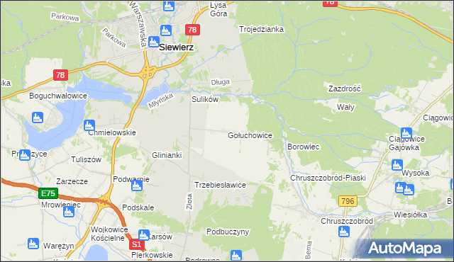 mapa Gołuchowice gmina Siewierz, Gołuchowice gmina Siewierz na mapie Targeo