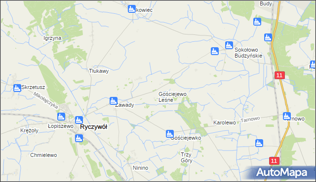 mapa Gościejewo Leśne, Gościejewo Leśne na mapie Targeo