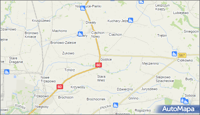 mapa Goślice, Goślice na mapie Targeo