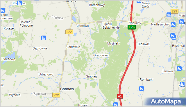 mapa Grabowiec gmina Bobowo, Grabowiec gmina Bobowo na mapie Targeo