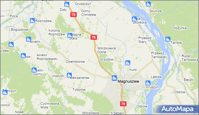 mapa Grzybów gmina Magnuszew, Grzybów gmina Magnuszew na mapie Targeo