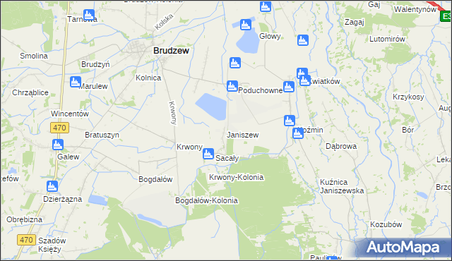 mapa Janiszew gmina Brudzew, Janiszew gmina Brudzew na mapie Targeo