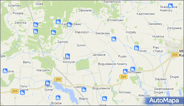 mapa Janowice gmina Babiak, Janowice gmina Babiak na mapie Targeo