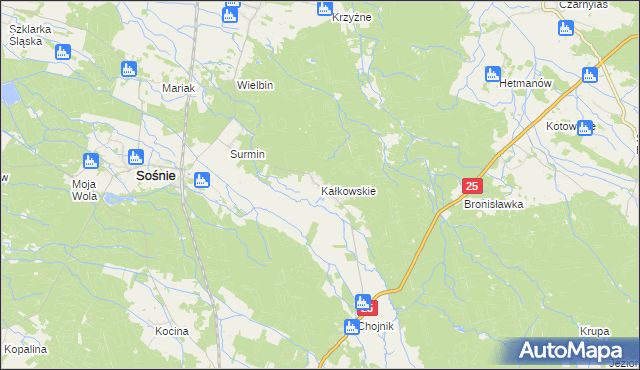 mapa Kałkowskie, Kałkowskie na mapie Targeo