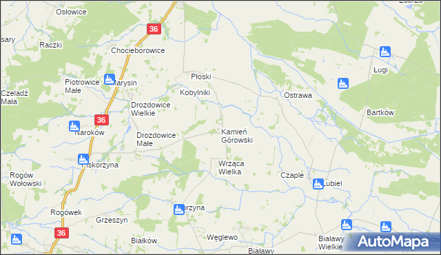 mapa Kamień Górowski, Kamień Górowski na mapie Targeo