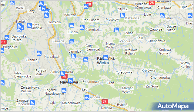 mapa Kamionka Wielka, Kamionka Wielka na mapie Targeo