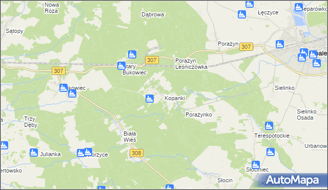 mapa Kopanki gmina Opalenica, Kopanki gmina Opalenica na mapie Targeo