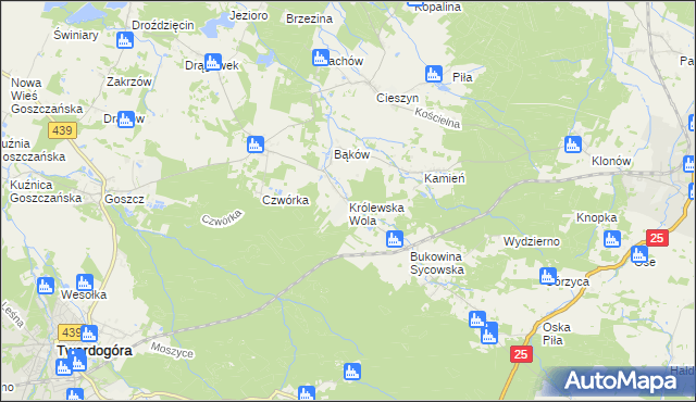 mapa Królewska Wola gmina Międzybórz, Królewska Wola gmina Międzybórz na mapie Targeo