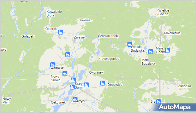 mapa Krzywogoniec, Krzywogoniec na mapie Targeo