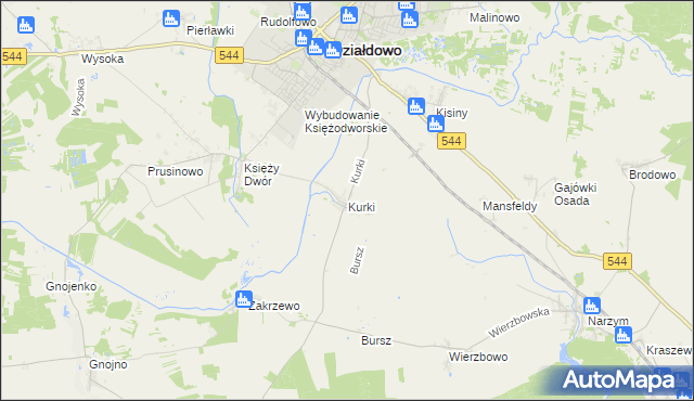 mapa Kurki gmina Działdowo, Kurki gmina Działdowo na mapie Targeo