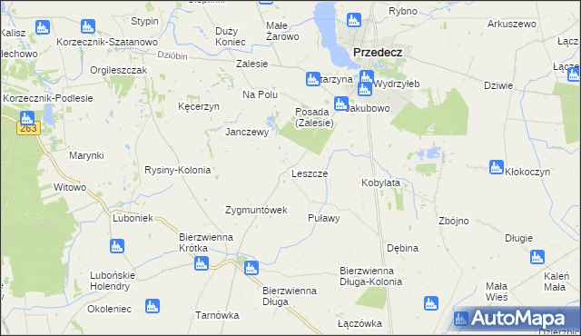 mapa Leszcze gmina Kłodawa, Leszcze gmina Kłodawa na mapie Targeo