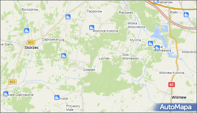 mapa Lipniak gmina Wiśniew, Lipniak gmina Wiśniew na mapie Targeo