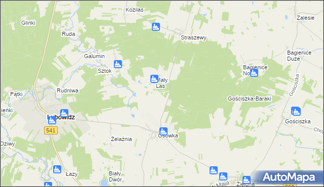 mapa Lisiny gmina Lubowidz, Lisiny gmina Lubowidz na mapie Targeo