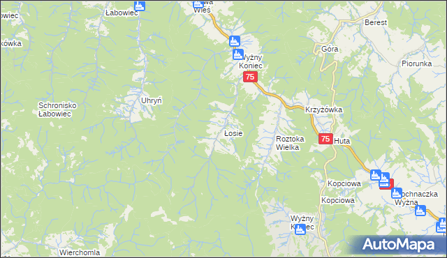 mapa Łosie gmina Łabowa, Łosie gmina Łabowa na mapie Targeo