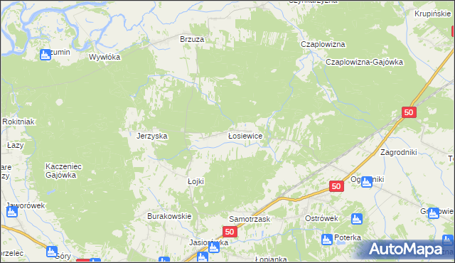 mapa Łosiewice, Łosiewice na mapie Targeo