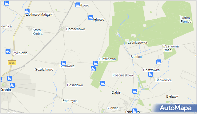 mapa Ludwinowo gmina Pępowo, Ludwinowo gmina Pępowo na mapie Targeo