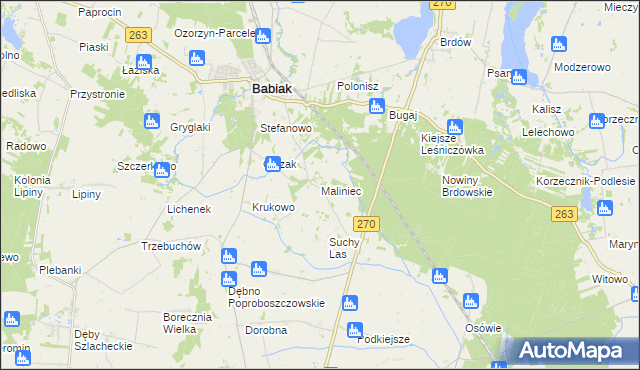 mapa Maliniec gmina Babiak, Maliniec gmina Babiak na mapie Targeo