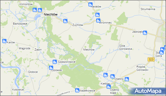 mapa Miechów gmina Niechlów, Miechów gmina Niechlów na mapie Targeo