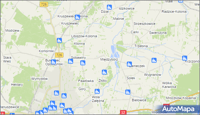 mapa Międzybórz gmina Opoczno, Międzybórz gmina Opoczno na mapie Targeo