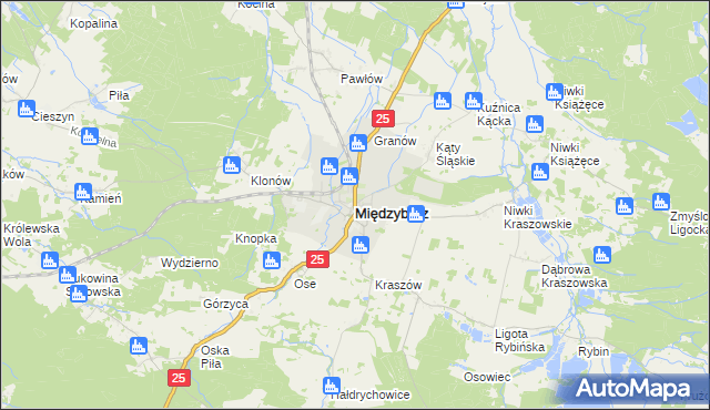 mapa Międzybórz powiat oleśnicki, Międzybórz powiat oleśnicki na mapie Targeo