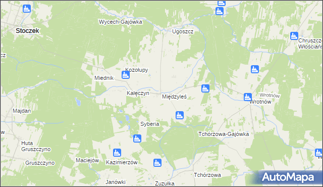 mapa Międzyleś gmina Miedzna, Międzyleś gmina Miedzna na mapie Targeo