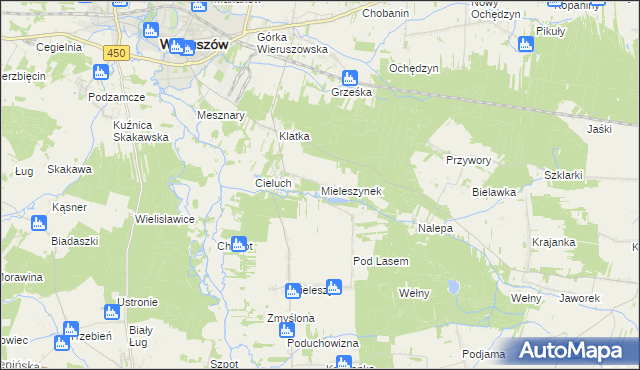 mapa Mieleszynek, Mieleszynek na mapie Targeo