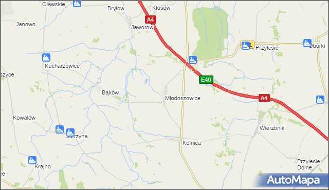mapa Młodoszowice, Młodoszowice na mapie Targeo