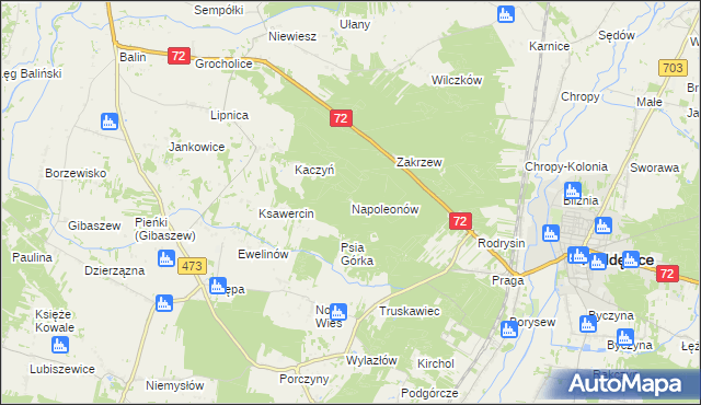 mapa Napoleonów gmina Poddębice, Napoleonów gmina Poddębice na mapie Targeo