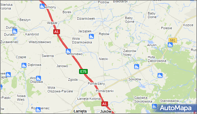 mapa Niecki gmina Gostynin, Niecki gmina Gostynin na mapie Targeo