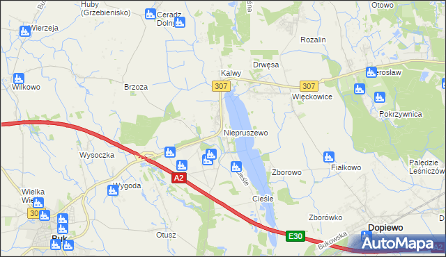 mapa Niepruszewo, Niepruszewo na mapie Targeo