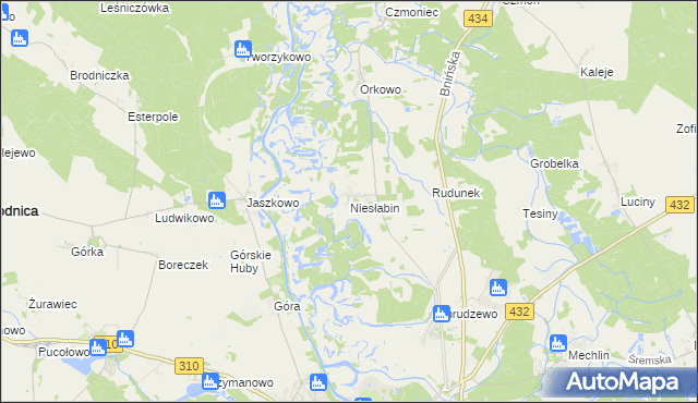 mapa Niesłabin, Niesłabin na mapie Targeo