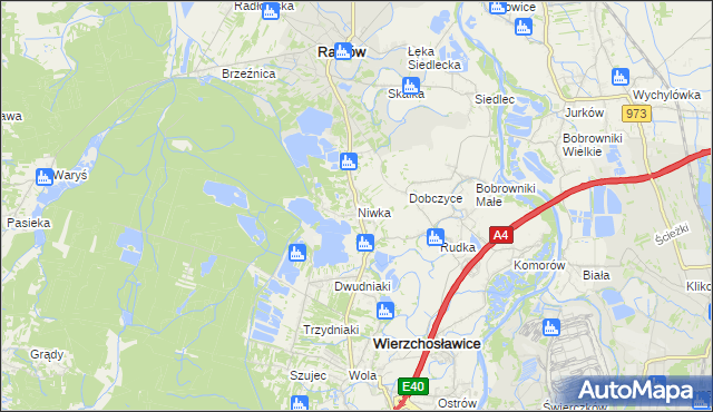 mapa Niwka gmina Radłów, Niwka gmina Radłów na mapie Targeo