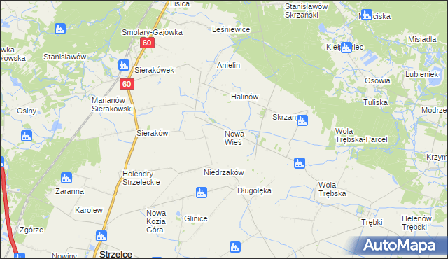 mapa Nowa Wieś gmina Gostynin, Nowa Wieś gmina Gostynin na mapie Targeo