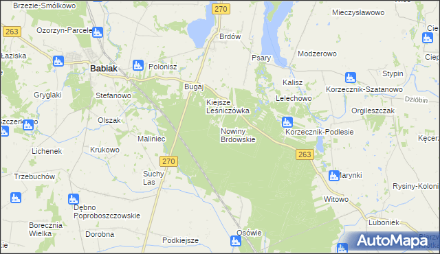 mapa Nowiny Brdowskie, Nowiny Brdowskie na mapie Targeo