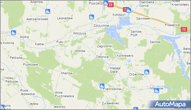 mapa Oleśnica gmina Dalików, Oleśnica gmina Dalików na mapie Targeo