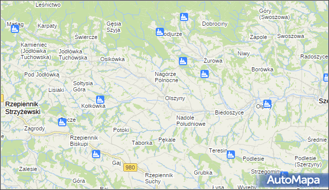 mapa Olszyny gmina Rzepiennik Strzyżewski, Olszyny gmina Rzepiennik Strzyżewski na mapie Targeo