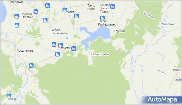 mapa Orzechówka gmina Rajgród, Orzechówka gmina Rajgród na mapie Targeo