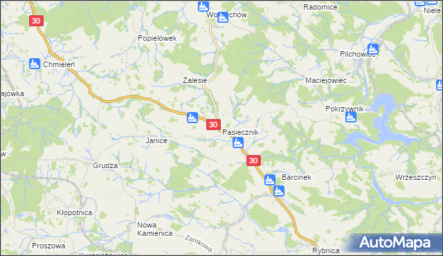 mapa Pasiecznik, Pasiecznik na mapie Targeo